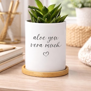 Aloe Vera Pot With Drainage - Etsy