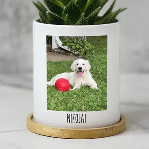 Personalized Dog Photo Plant Pot Gift for Dog Lover Custom Planter with Picture Customize Dog Mom Present for Dad Dog Succulent Pot
