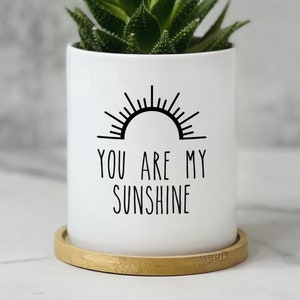 Say Aloe to My Little Friend Planter, Cute Succulent Pot, Funny ...