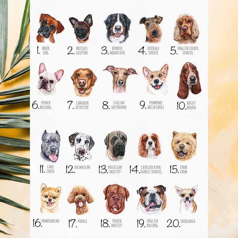 Personalized Dog Coffee Mug, Frenchie Mom Gift, French Bulldog +80 Other Breeds image 5