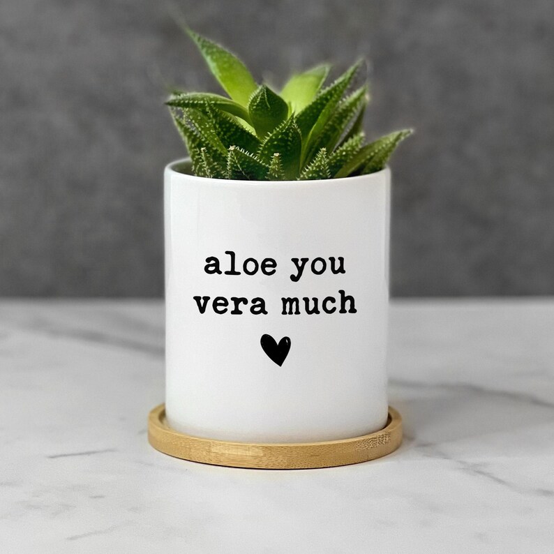 Custom aloe you vera much planter, funny minimalist ceramic plant pot, gift family and friends