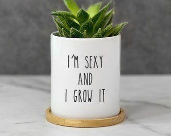 Funny Plant Pot, Succulent Flower Pot, Funny Planter with Drainage, Gardening Gift for Best Friend, Plant Lover Gift, I'm Sexy and I Grow It