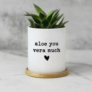 Aloe You Vera Much Planter, Succulent Pot for Best Friend Female, Gift for Sister, Funny Gardening Gift, Cute Plant Pot with Bamboo Saucer image 3