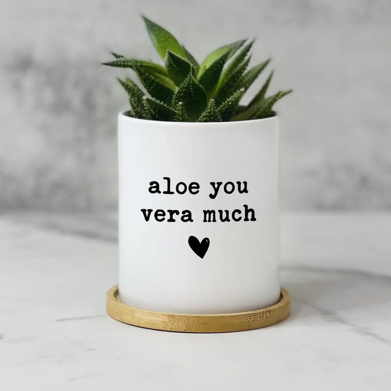 Aloe You Vera Much Planter, Succulent Pot for Best Friend Female, Gift for Sister, Funny Gardening Gift, Cute Plant Pot with Bamboo Saucer image 3