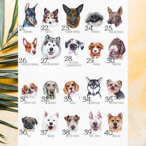 Personalized Dog Coffee Mug, Frenchie Mom Gift, French Bulldog +80 Other Breeds image 6