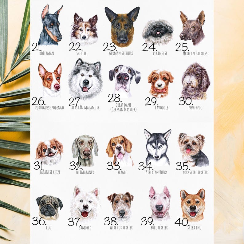 Personalized Dog Coffee Mug, Frenchie Mom Gift, French Bulldog +80 Other Breeds image 6