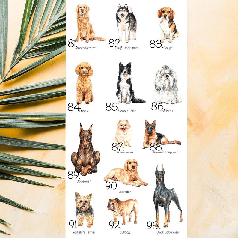 Personalized Dog Coffee Mug, Frenchie Mom Gift, French Bulldog +80 Other Breeds image 9