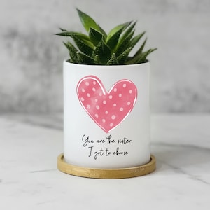 Cute Plant Pot Gift for Best Friend Female Birthday, Friendship Gift, Bestie Bff Gift, Pink heart Planter You are the sister I got to choose