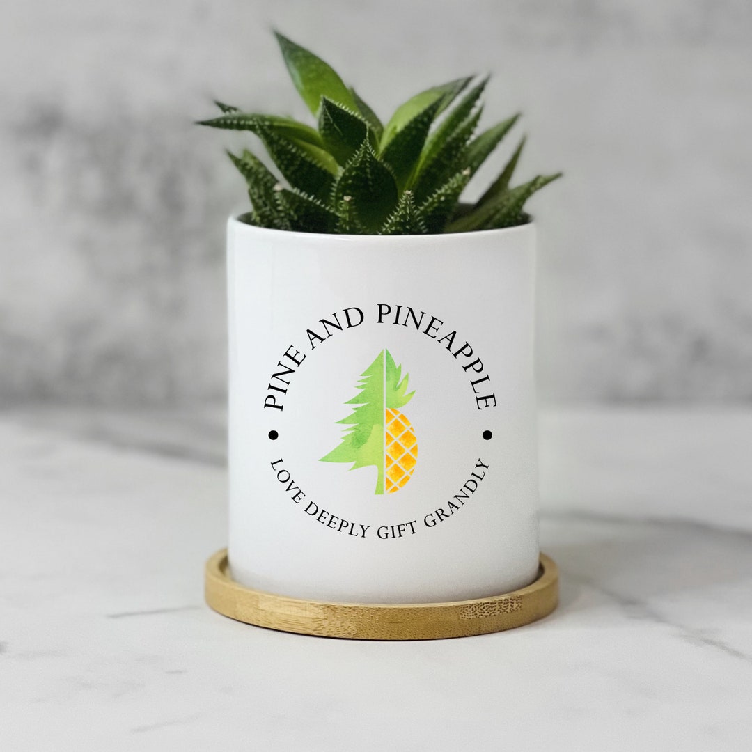 Custom Printed Logo Plant Pot With Full Color, Company Logo Gifts