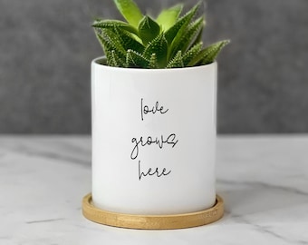 Love Grows Here Planter, Succulent Pot, Wedding Anniversary Gift for Plant Lover, Unique Ceramic Plant Pot with Drainage and Saucer for Her