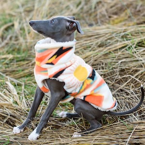 Min Pin Dog Clothes Etsy UK
