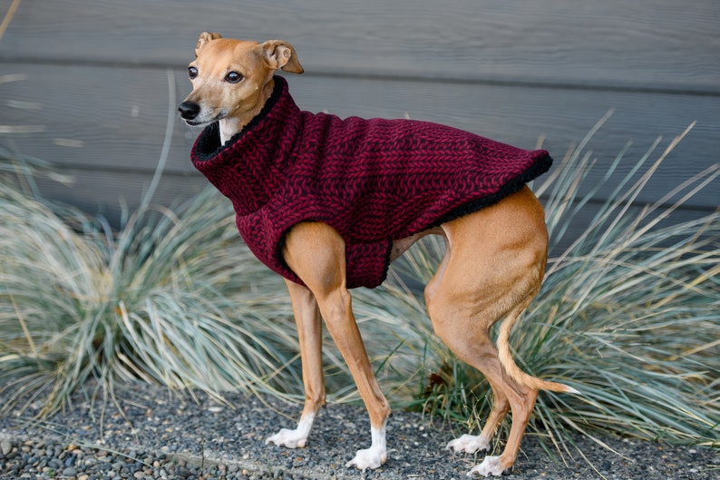 Sherpa lined Italian Greyhound Dog Coat Red Cable Knit also great for Mini Pinscher, Rat Terrier, Boston Terrier, Basenji image 1