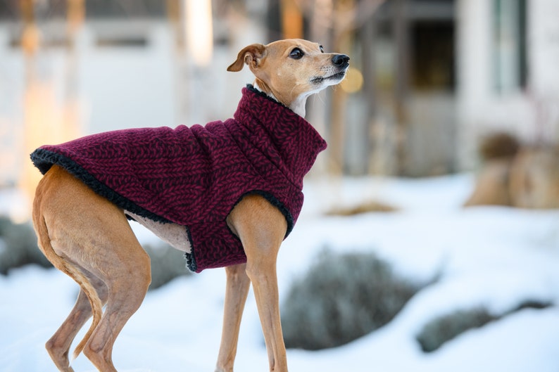 Sherpa lined Italian Greyhound Dog Coat Red Cable Knit also great for Mini Pinscher, Rat Terrier, Boston Terrier, Basenji image 3