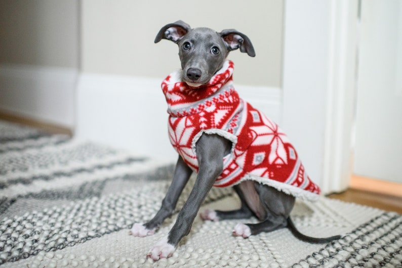 Italian Greyhound PUPPY Sherpa-lined Fleece Dog Coat Red White Snowflake also great for Min Pin, Rat Terrier, Boston Terrier, Basenji image 2