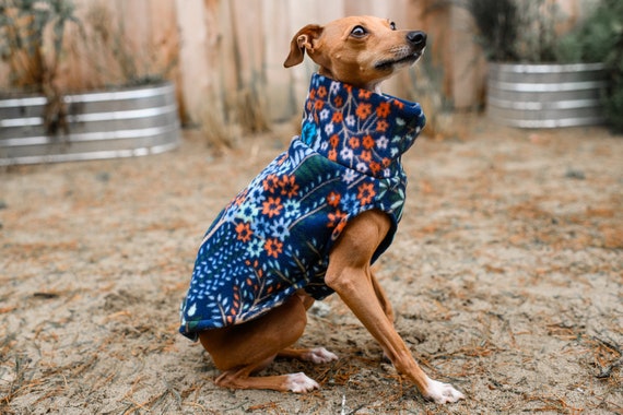 Navy dog sweater hot sale