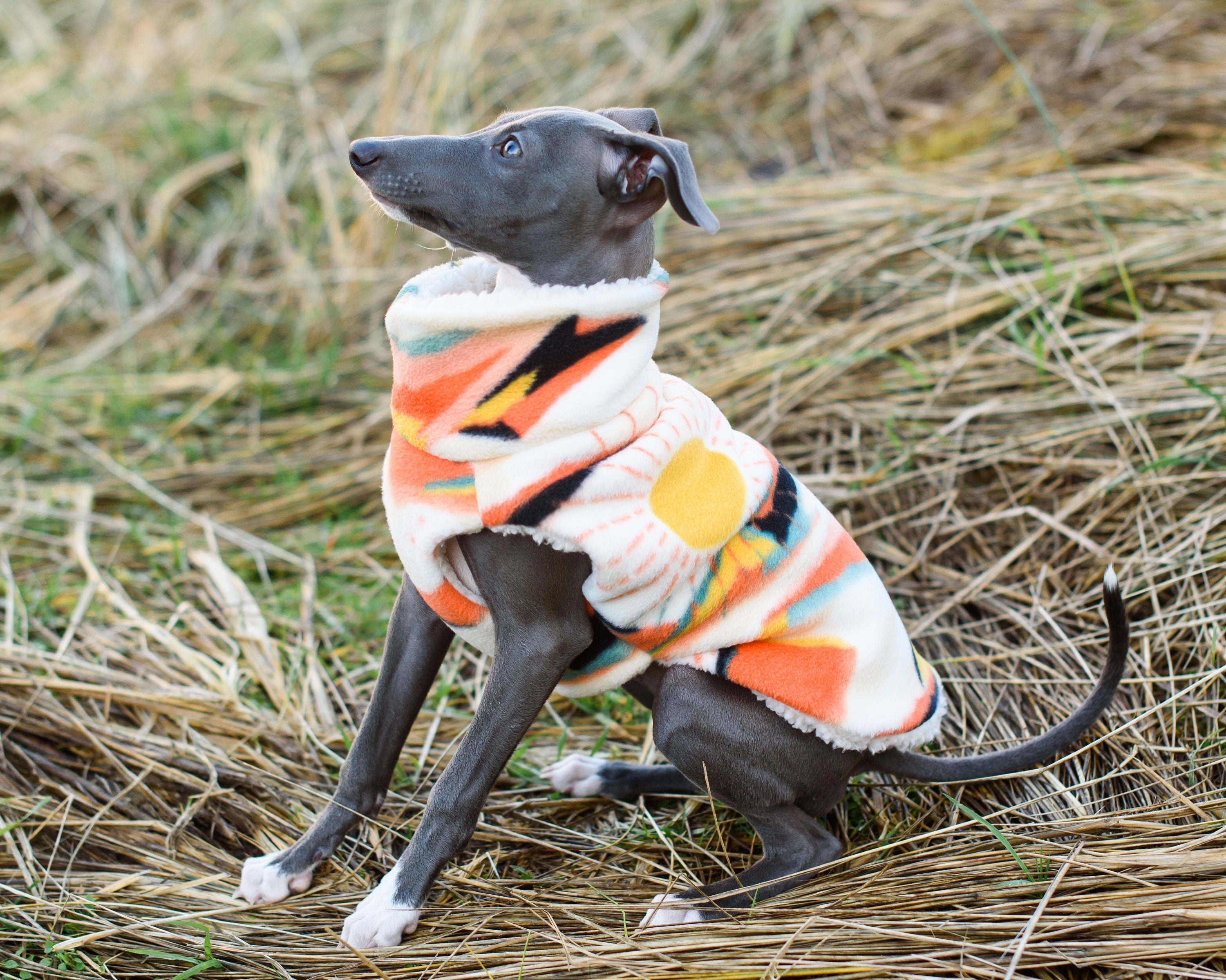 Italian Greyhound PUPPY Sherpa-lined Fleece Dog Coat Mountain
