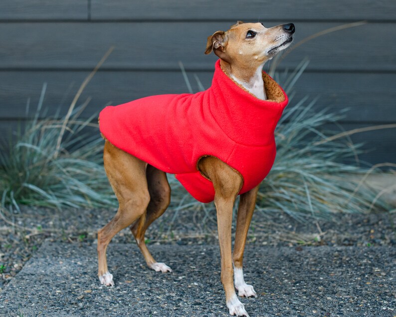 Sherpa lined Italian Greyhound Dog Coat Red Cable Knit also great for Mini Pinscher, Rat Terrier, Boston Terrier, Basenji image 9