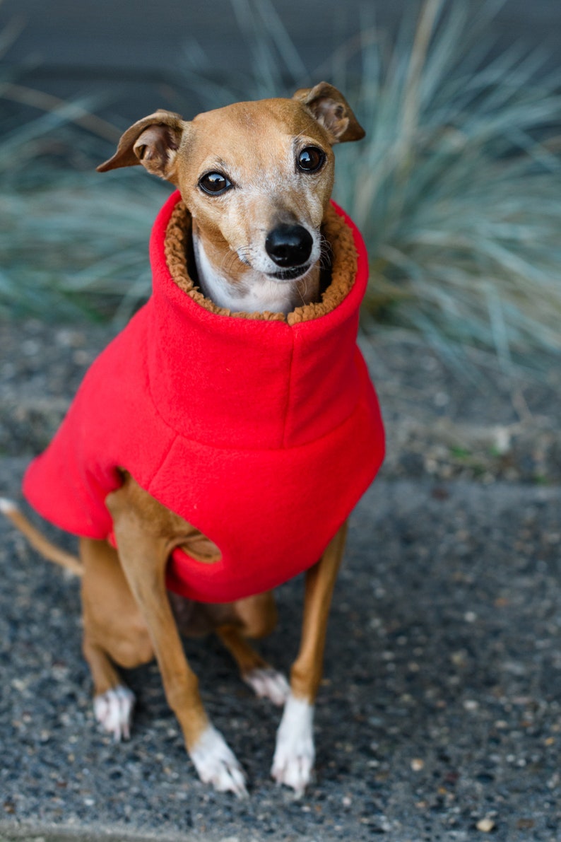 Sherpa lined Italian Greyhound Dog Coat Red Cable Knit also great for Mini Pinscher, Rat Terrier, Boston Terrier, Basenji image 8