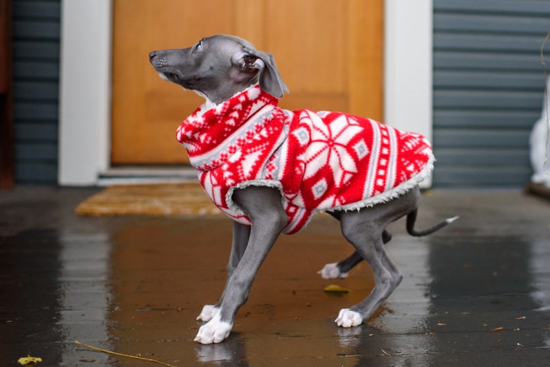 Italian Greyhound PUPPY Sherpa-lined Fleece Dog Coat Red White Snowflake also great for Min Pin, Rat Terrier, Boston Terrier, Basenji image 4