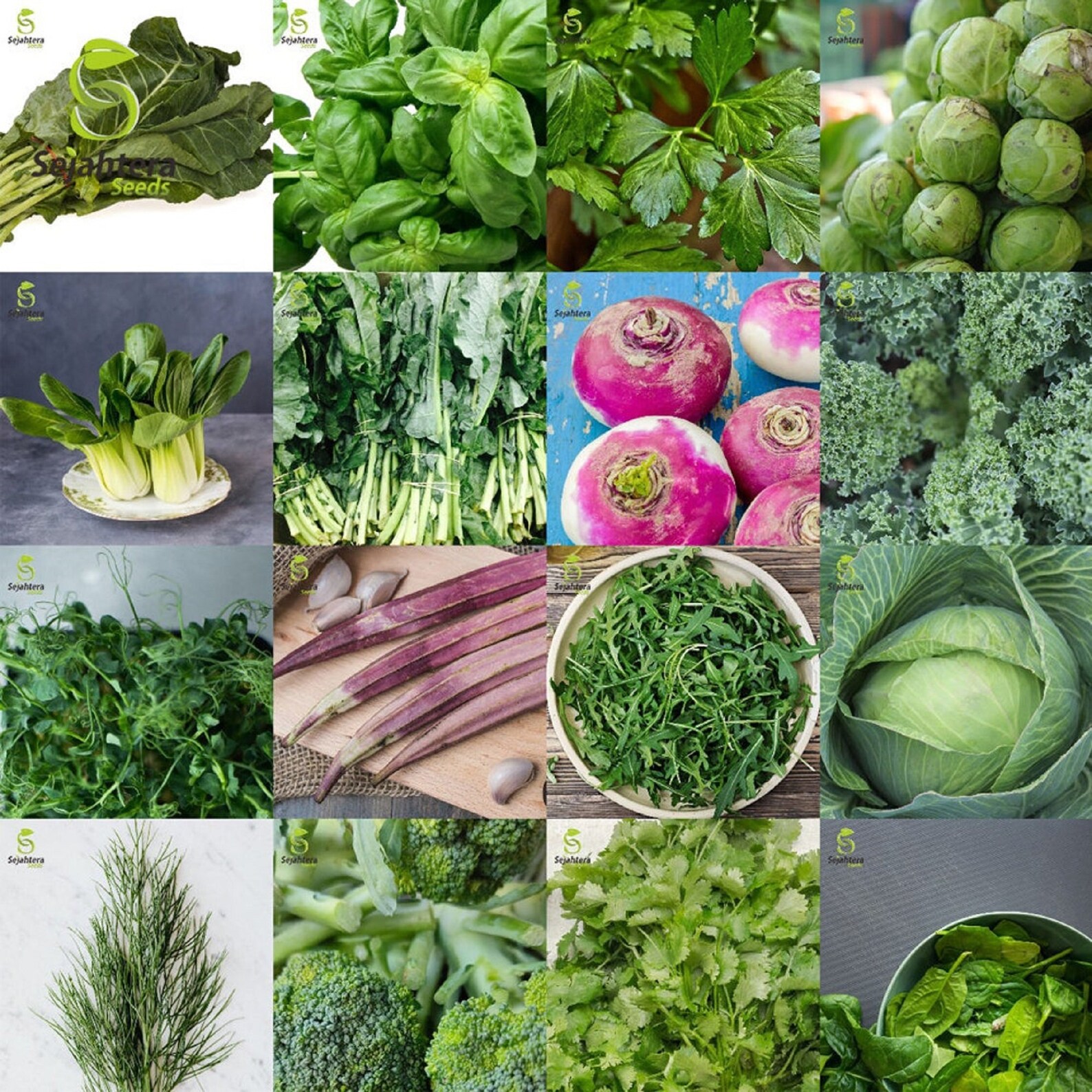 Bundle of 16 Assorted Vegetable Seeds For Planting includes Etsy