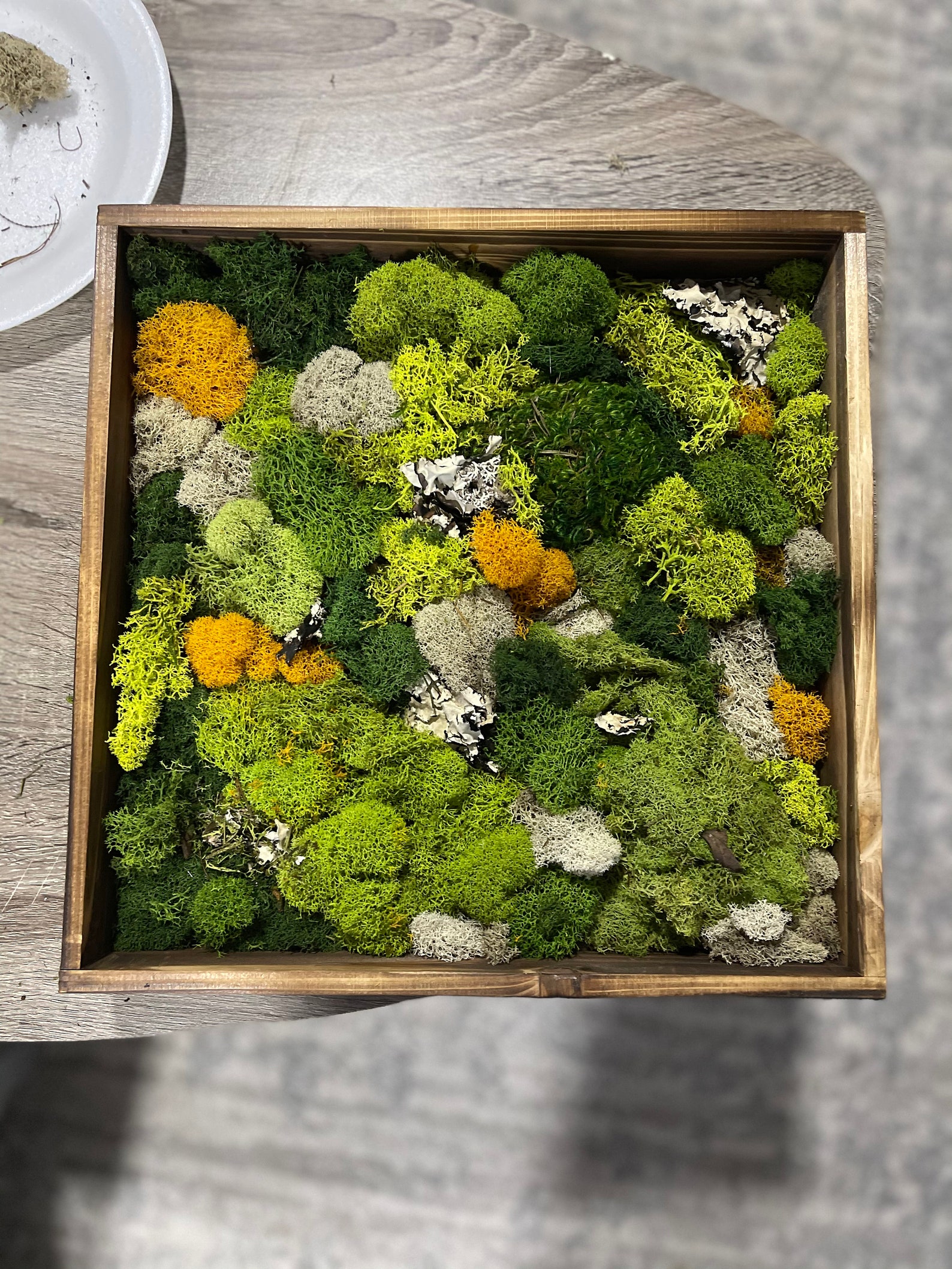 Moss Wall Art Etsy