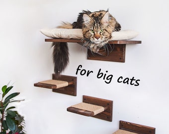 Katzenregal für große Katzen, Katzenstufen für Maine Coon, Katzenregal für die Wand, Katzenbett für große Katzen