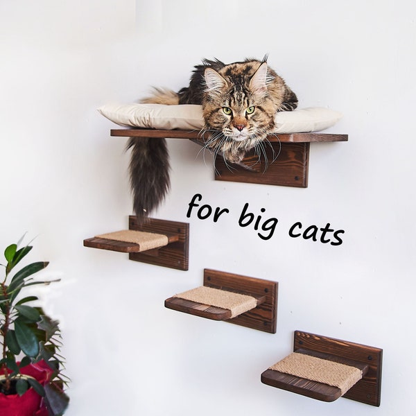 Big cat shelves, Cat shelf for large cats, Cat steps for Maine Coon, Cat shelves for wall, Cat bed for big cats