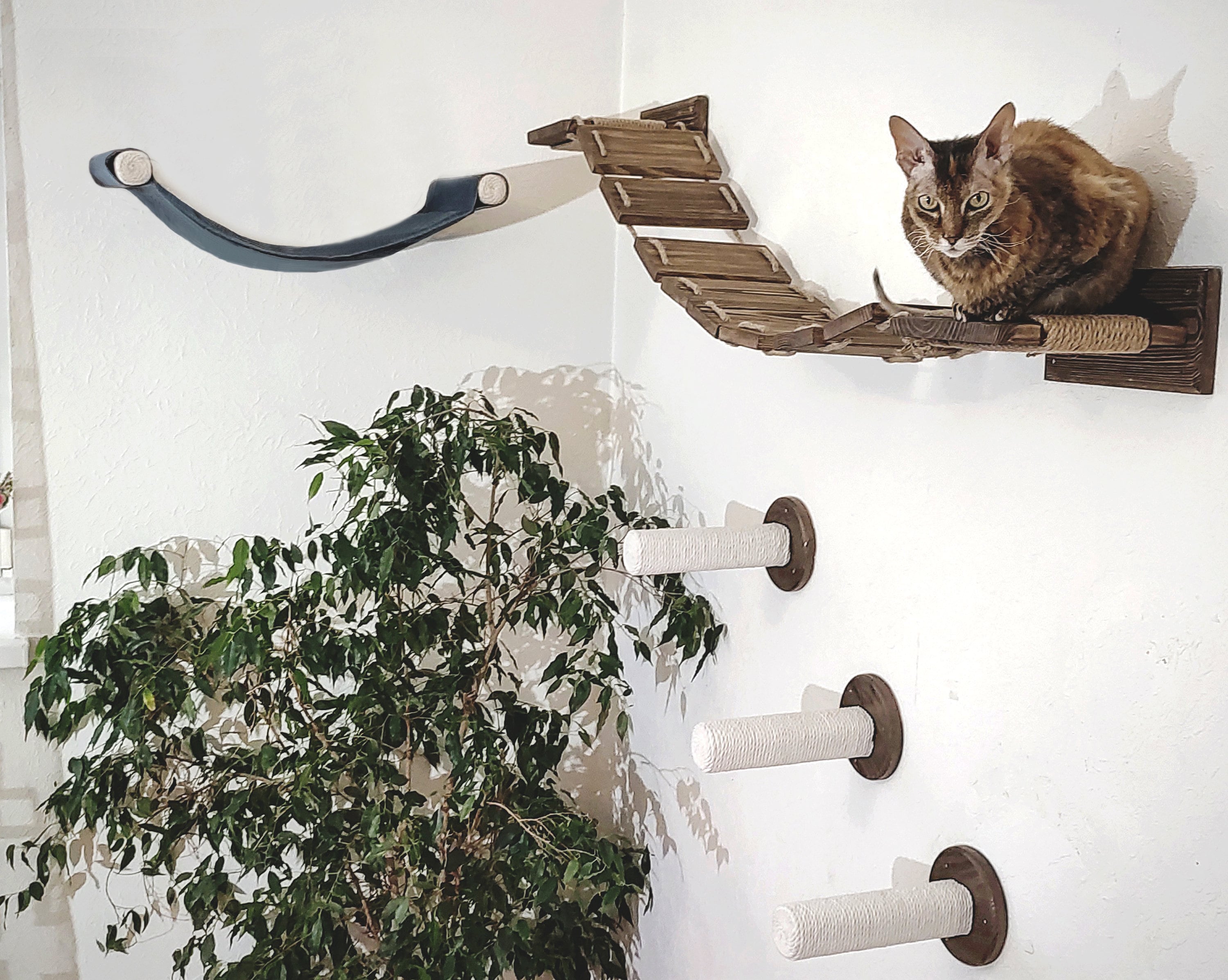 SET Cat Wall Mounted Furniture Cat Wall Hammock Cat Etsy