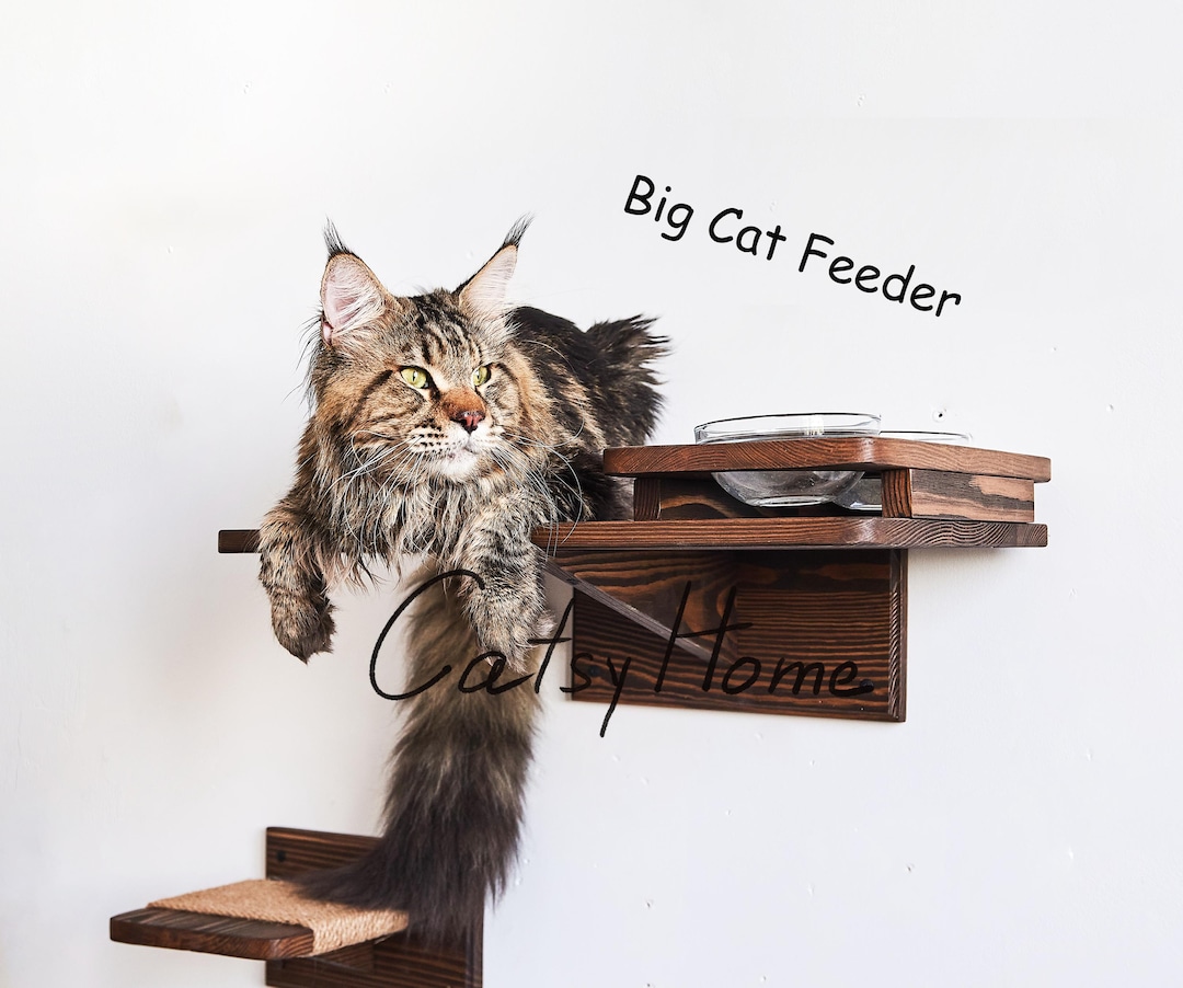 Big Cat Feeder Shelf 2 Bowls, Cat Shelf, Cat Feeding Bowl, Еlevated Cat ...