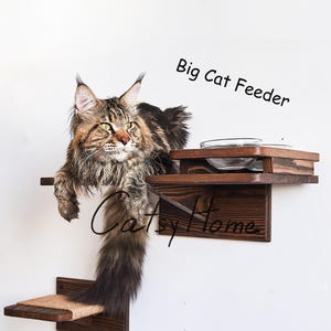 May include: A brown wooden wall-mounted cat feeder with a glass bowl and a cat sitting on the platform. The feeder is labeled "Big Cat Feeder".