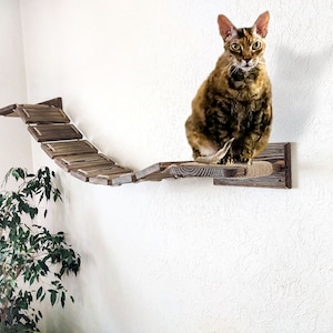 Pode incluir: Uma &aacute;rvore de gato de madeira marrom com uma plataforma coberta de corda e uma s&eacute;rie de t&aacute;buas de madeira conectadas. Um gato tigrado marrom est&aacute; sentado na plataforma.