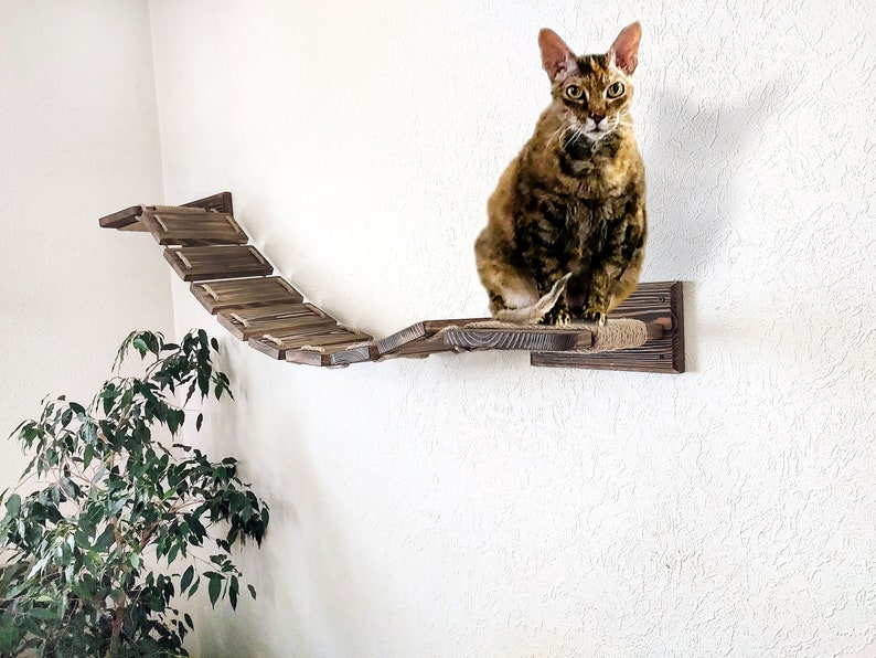 Pode incluir: Uma &aacute;rvore de gato de madeira marrom com uma plataforma coberta de corda e uma s&eacute;rie de t&aacute;buas de madeira conectadas. Um gato tigrado marrom est&aacute; sentado na plataforma.