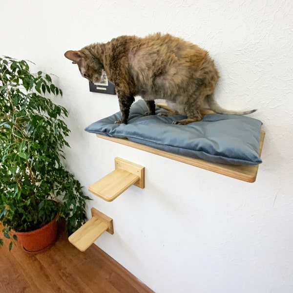 Cat shelf and soft cushion, Cat shelves for wall, Cat bed wall, Cat shelf Cat perch