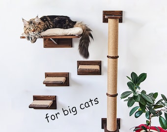 Maine Coon, Cat shelves, Cat wall furniture for big cats, Big cat shelves, Cat shelves for wall