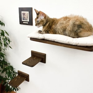 May include: A brown wooden cat shelf with a white cushion and two smaller shelves. A cat is sitting on the top shelf.