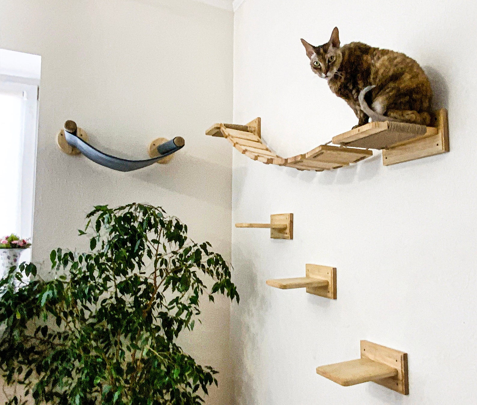 Cat Play Furniture SET Cat Hammock Cat Furniture Wall Cat Etsy