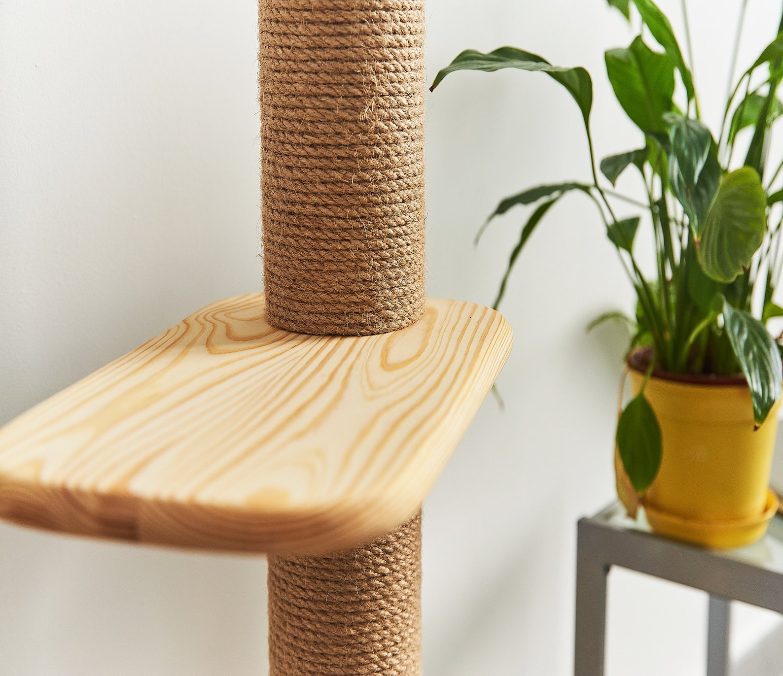 Cat Shelves and Scratching Post for Climbing Cats Solid Wood Etsy