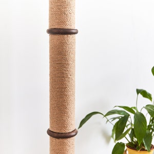 May include: A beige cat scratching post with a thick, woven rope texture. Dark brown wooden rings encircle the post at intervals. A green leafy plant is visible in the background.