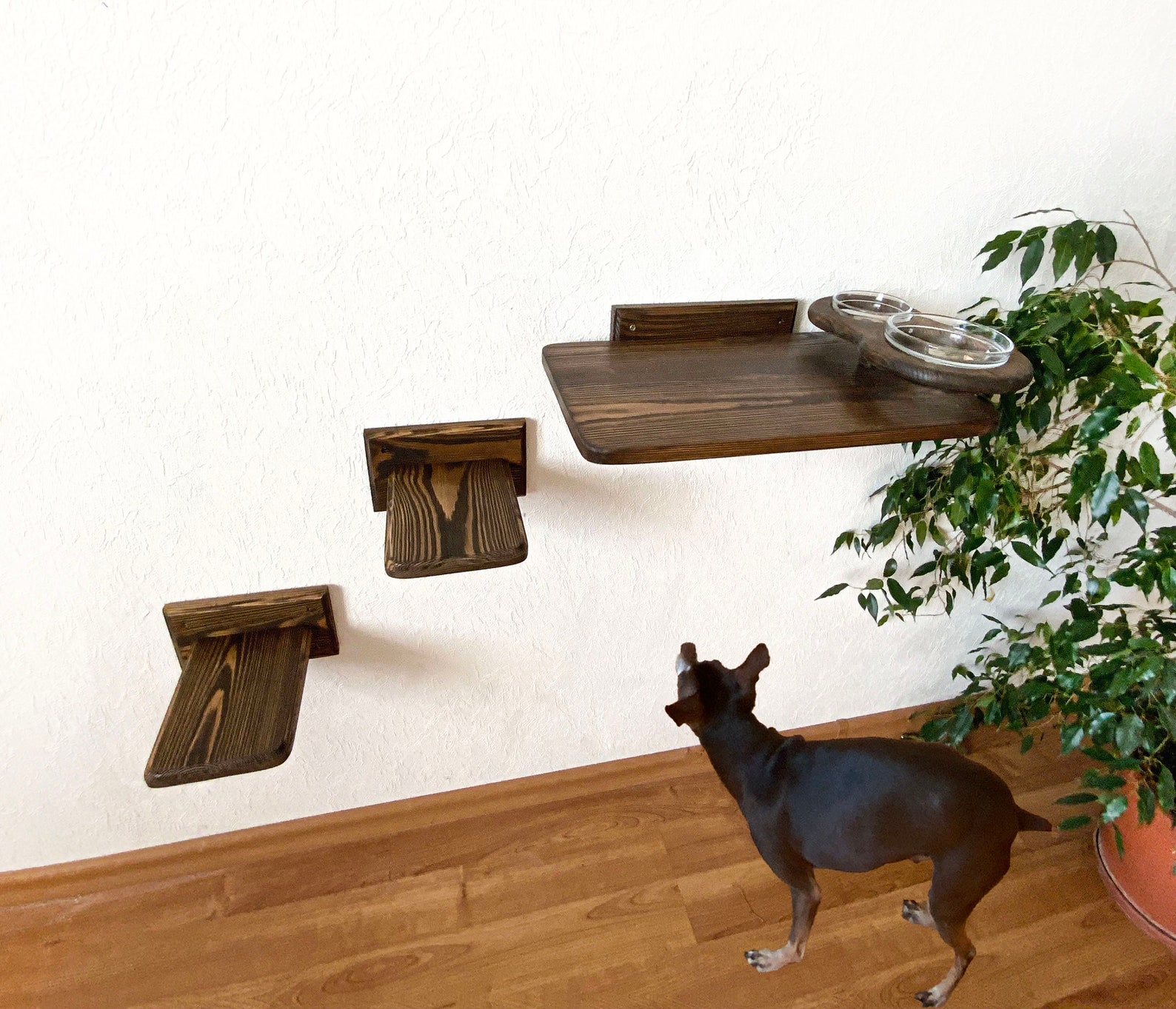 Wall mount cat feeder Cat perch Cat wall shelves Cat shelf Etsy