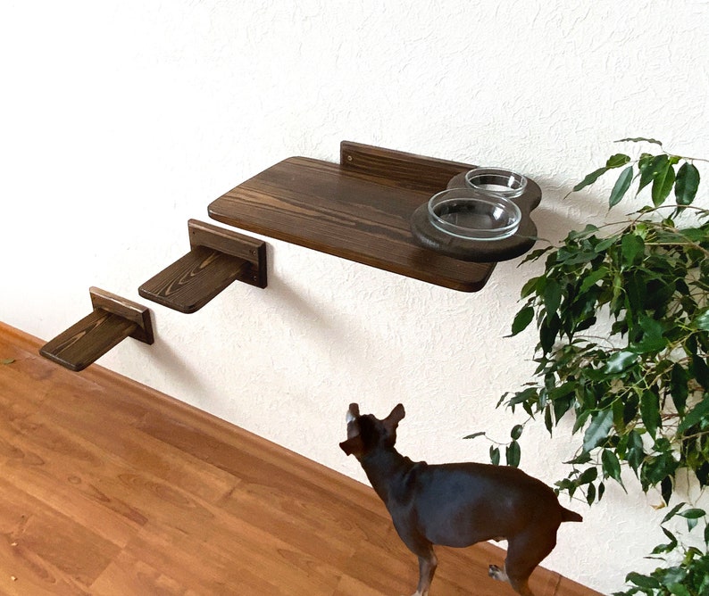 Large Cat Shelf Feeder Cat Perch Cat Shelves Wall Feeding Etsy