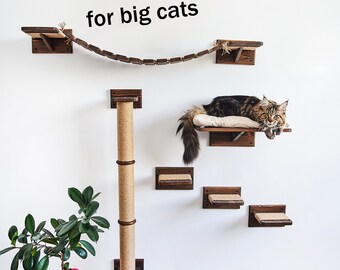 Katzenmöbel für große Katzen, Großkatzenregale, Katzenregale für die Wand, Katzenmöbel für Maine Coon