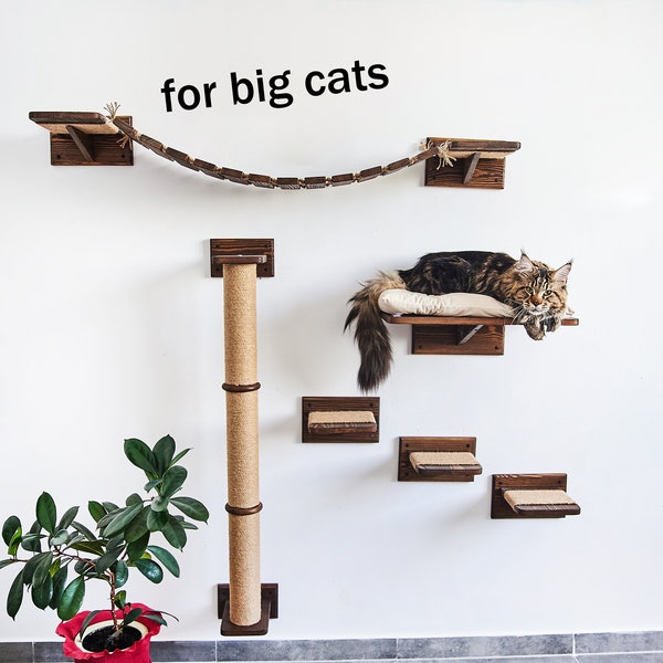 Katzenmöbel für große Katzen, Großkatzenregale, Katzenregale für die Wand, Katzenmöbel für Maine Coon