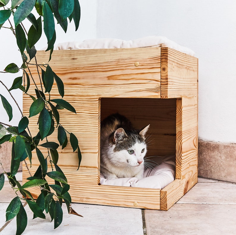 Cat House, Cat Condo, Cat Cave, Cat furniture, Cat bed with soft pillow, Cat home, Dog house natural solid wood, Cat sleeping place image 1
