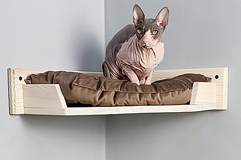 May include: A white wooden corner shelf with a brown cushion for cats. A hairless cat is sitting on the cushion.