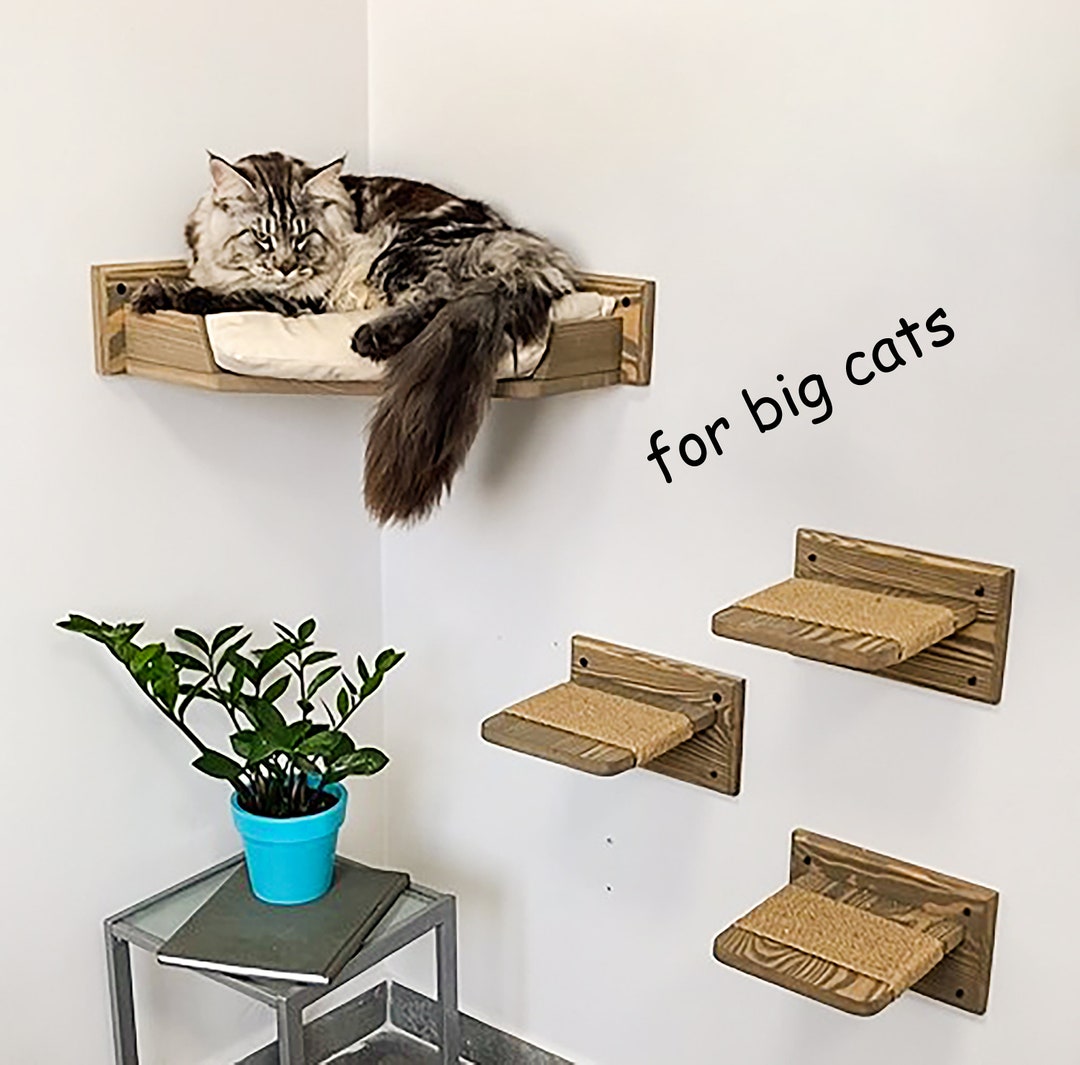 Big Cat Bed, Cat Shelves, Large Cat Furniture for Maine Coon, Cat
