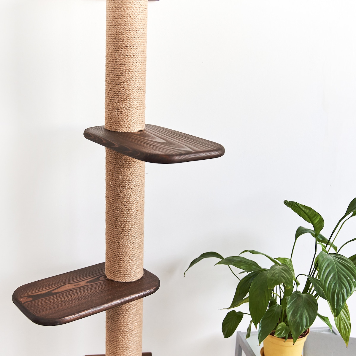 Cat Scratching post, Dark with 2 shelves