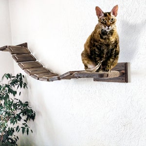 May include: A brown wooden cat bridge mounted on a white wall. The bridge has multiple platforms connected by rope. A cat is sitting on the top platform.