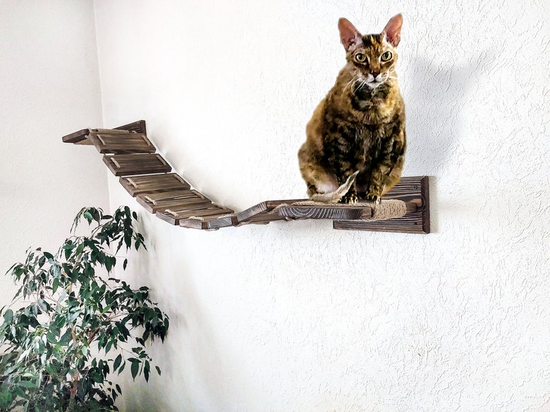 May include: A brown wooden cat bridge mounted on a white wall. The bridge has multiple platforms connected by rope. A cat is sitting on the top platform.