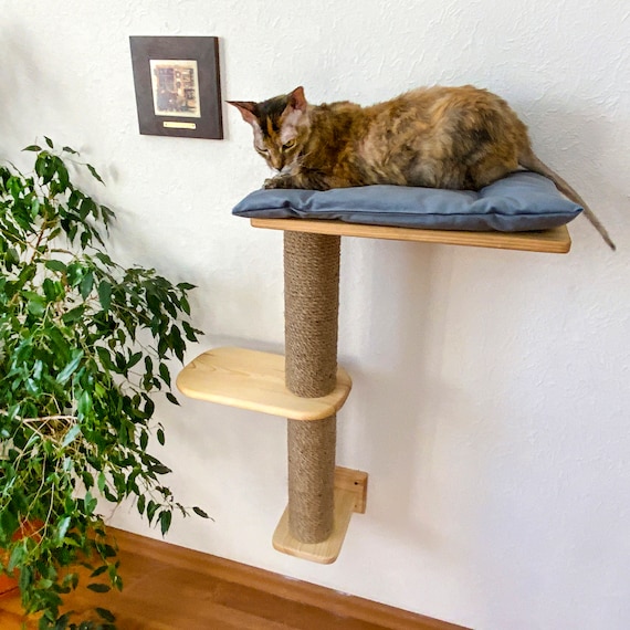 Muro Escalada Para Gatos - Set de Escaleras (Beige) 