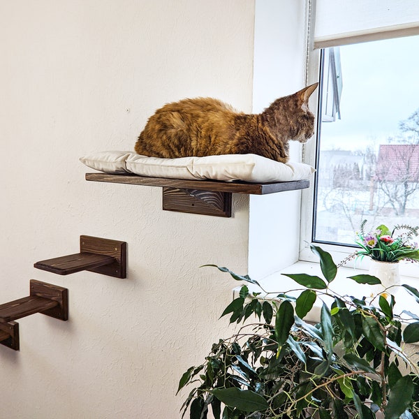 Cat window perch, Cat shelves, Cat wall furniture natural wood, Cat bed wall with pillow,  Floating cat shelf